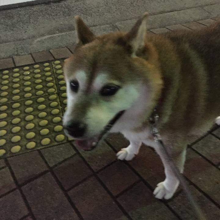 6394ba72 ac1d 46db aa82 5b5120b4ded3