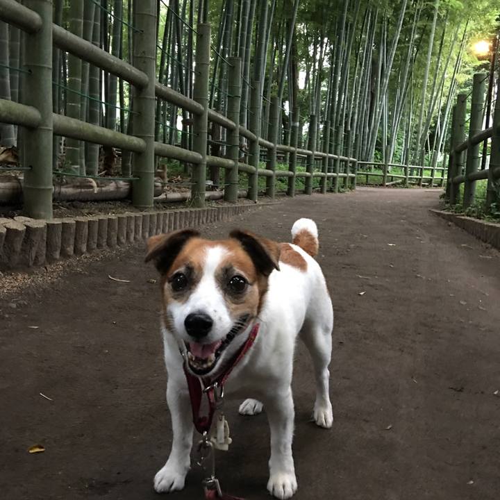 6395bec5 fd98 4100 a592 68d2871bb8d1