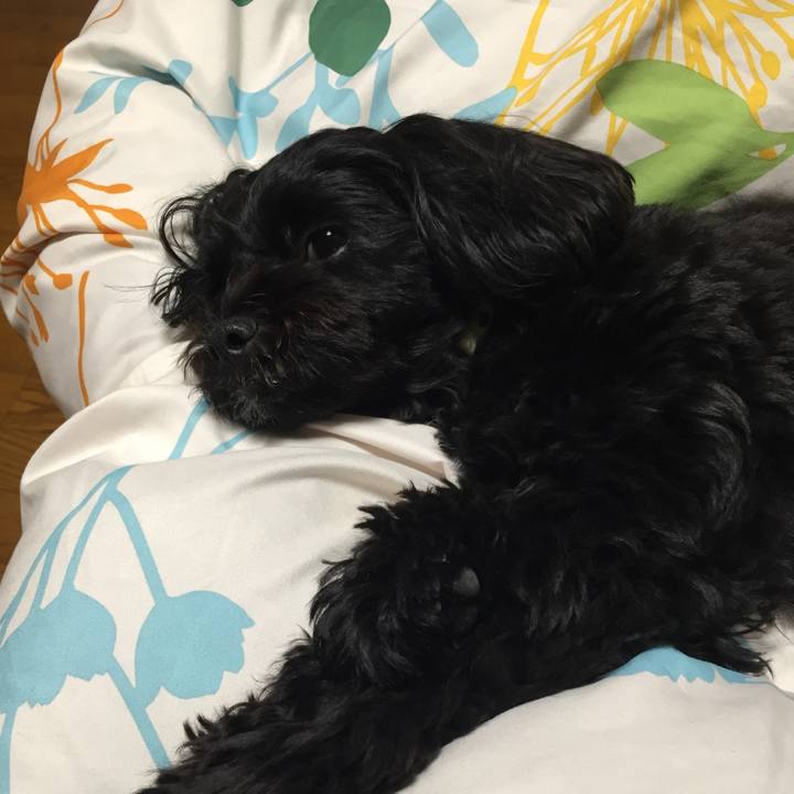 6395f158 3d32 4072 a8f5 6c140c6a9ce7