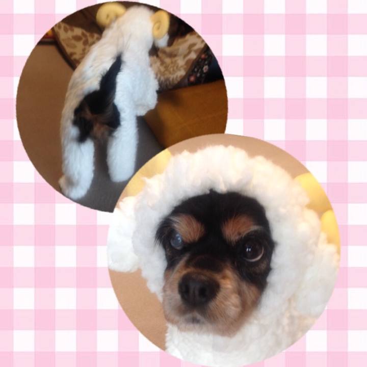 6395f5cb e2ef 4728 aa9c ed48a1ae6f0c