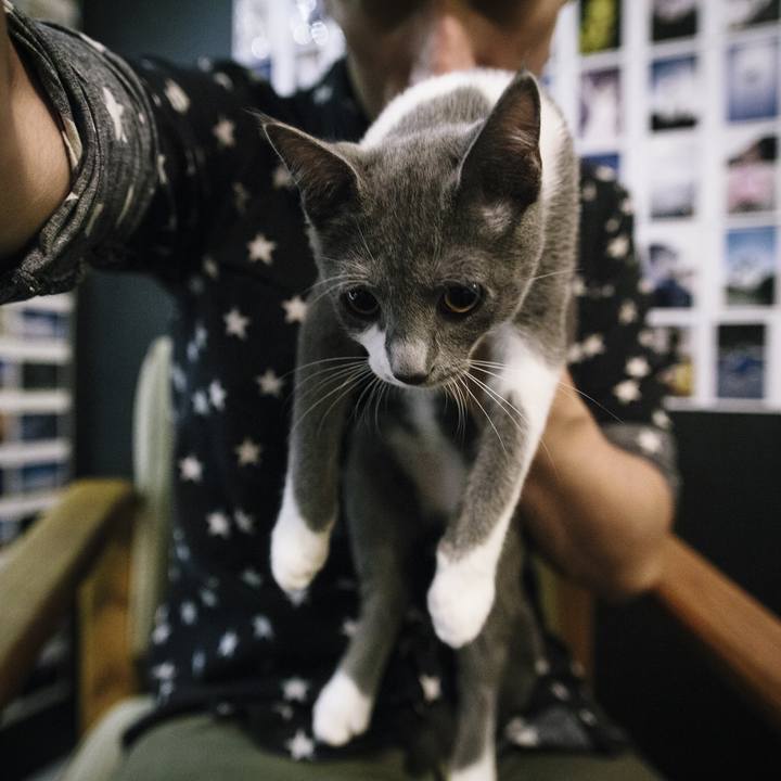 6396c414 0b5b 4129 b3bf 3dca1ff96b03