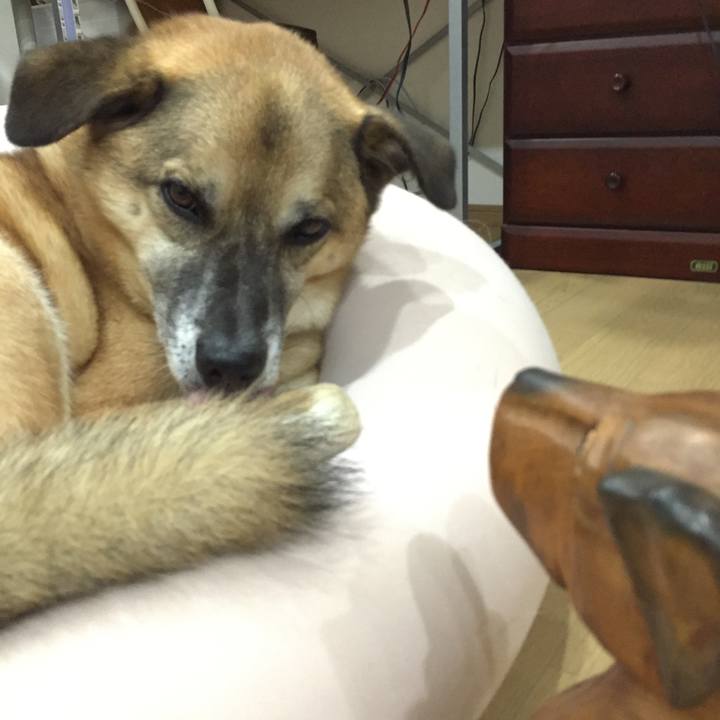 63971271 62f9 46b3 9328 0849b52b1d51