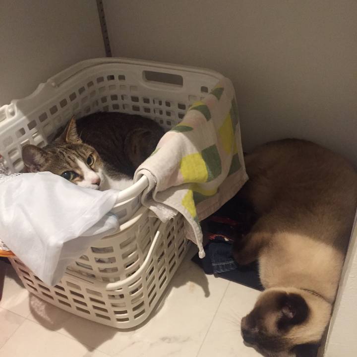 6397187d f1e4 4e92 b15f 016c515cd263