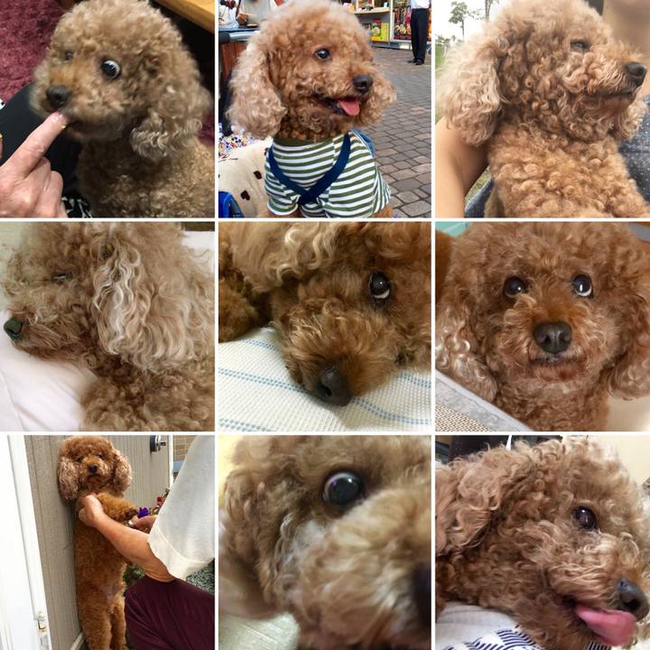 639727be 3666 4d4f 91b8 3a9505caed5b