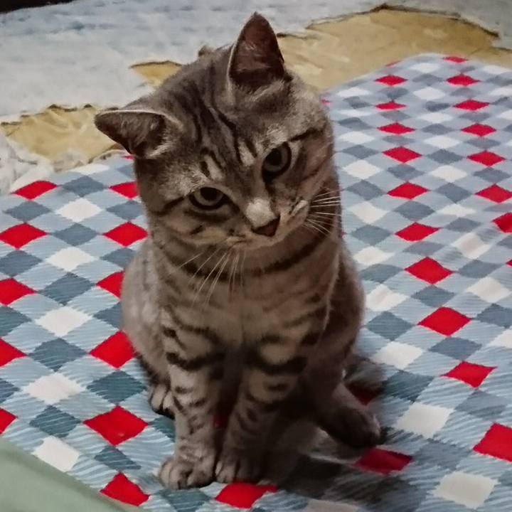 63978812 ce5a 47d8 b6be 0b652fc4c69c