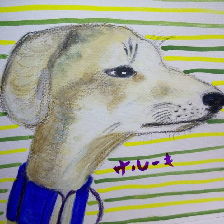 6397afc3 31cd 462d 9ab1 7e422c3c00cb