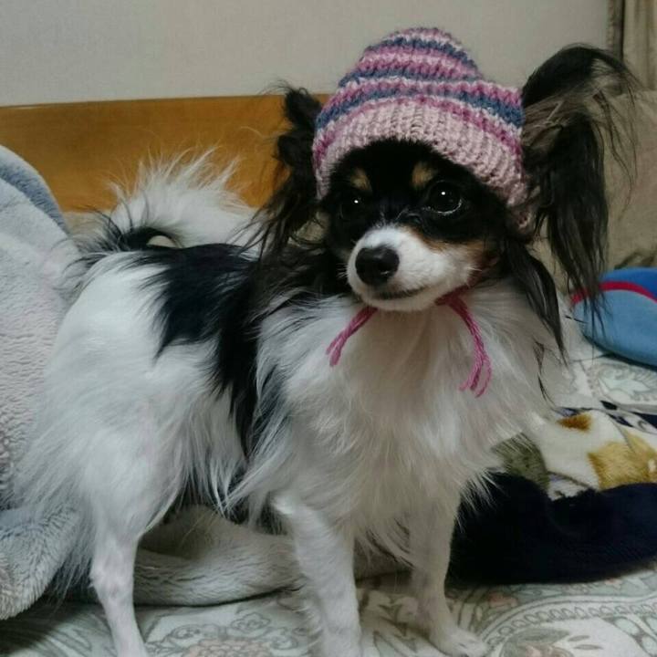 6397e376 a80d 4e22 9f26 44fdf5e93625