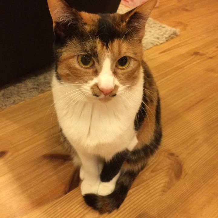 63982987 1410 4baa 9cae be87a6999689