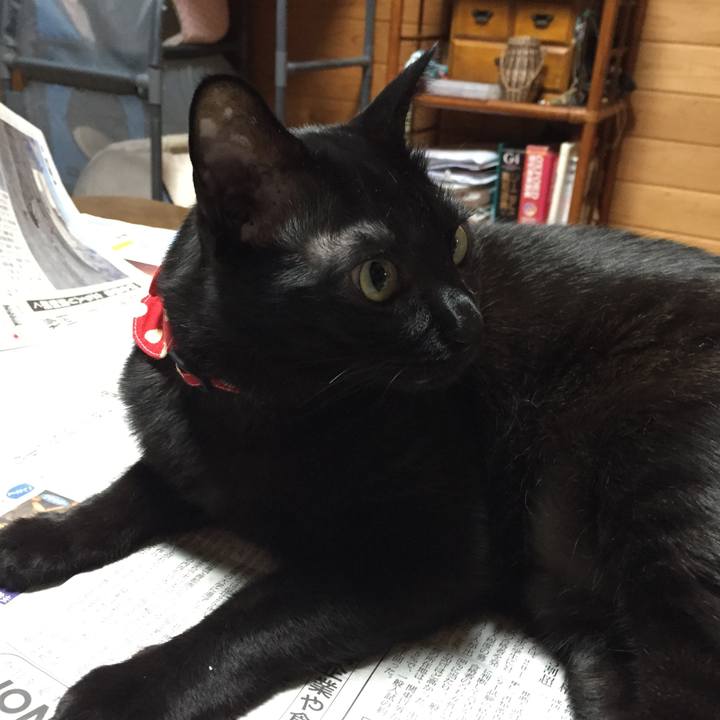 63999306 3d71 4537 a289 c5b6dfc78601