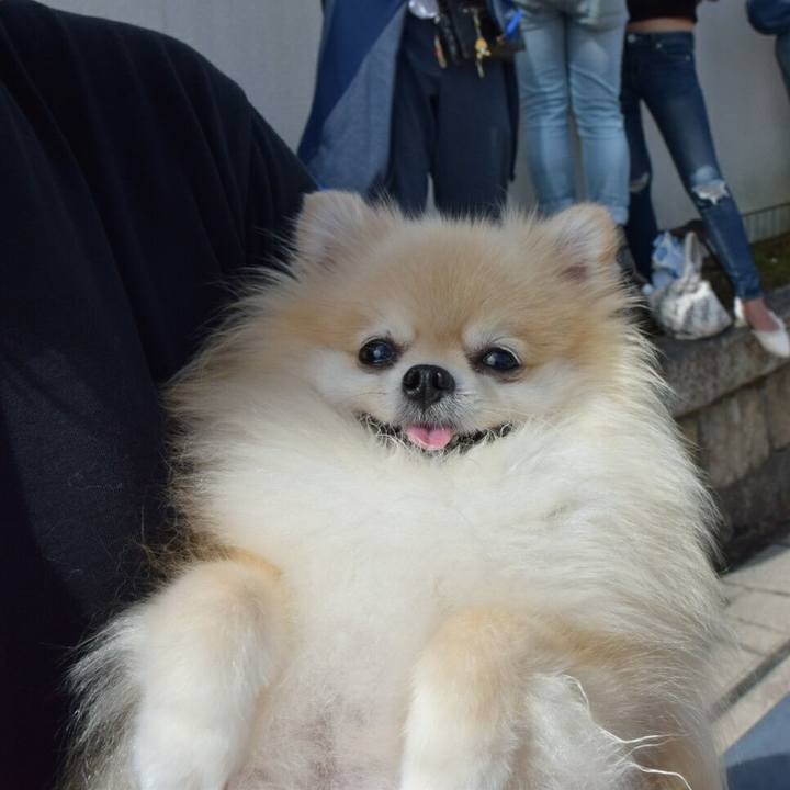 6399bffc 8bcb 4234 aa0b 94095293766f