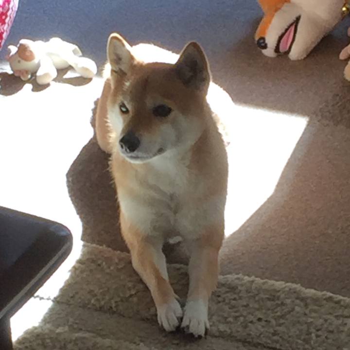 639b2711 cf93 4284 ac86 b67b80730381