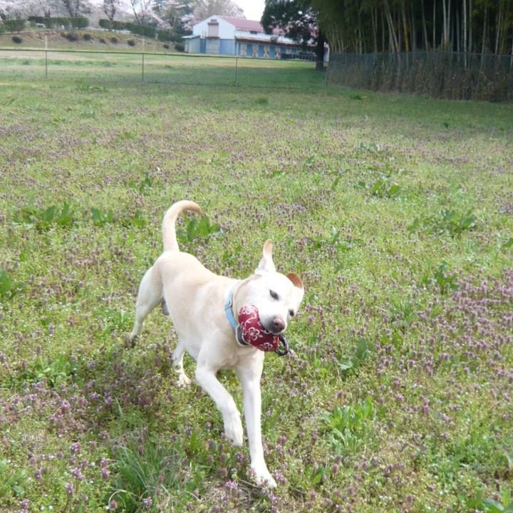 639bf014 ea19 4a5e bd88 738993f370e4