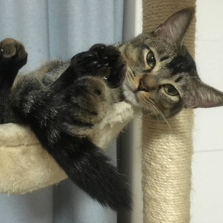 639c12c8 52fd 46cd 9161 c6becc559f9e