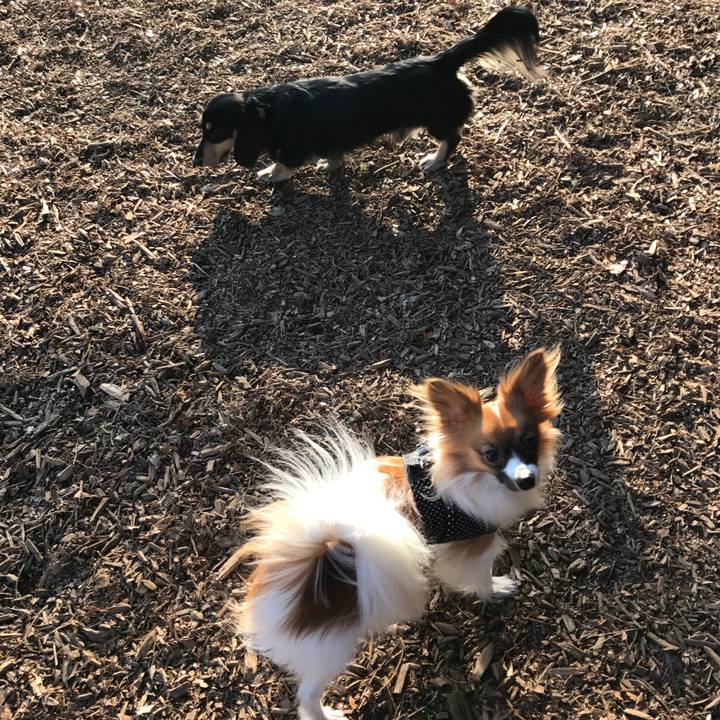 639c7c8b 34dd 43aa b5d7 43198dcf3f18