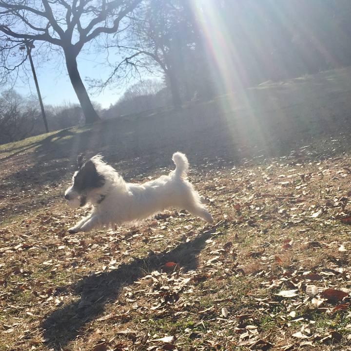 639d0543 767b 42a8 bfcb e7ef40a43306