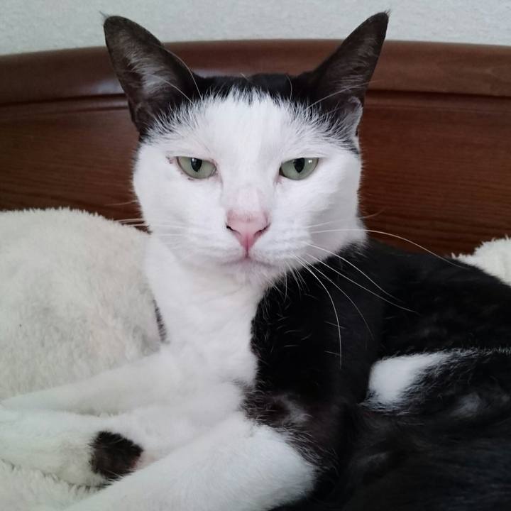 639d1e25 24bf 4c61 8bf8 602a19cc212e