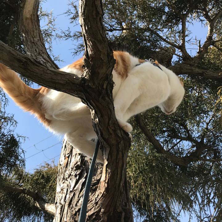 639d50f7 c264 46b0 97a6 f4f7616357d2