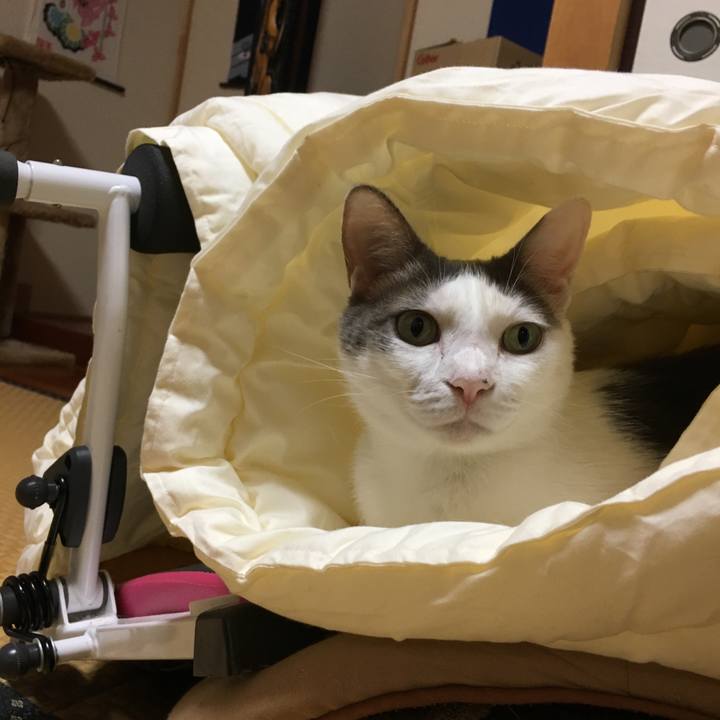 639eb868 68b4 431f 8bd3 2c6588b08387