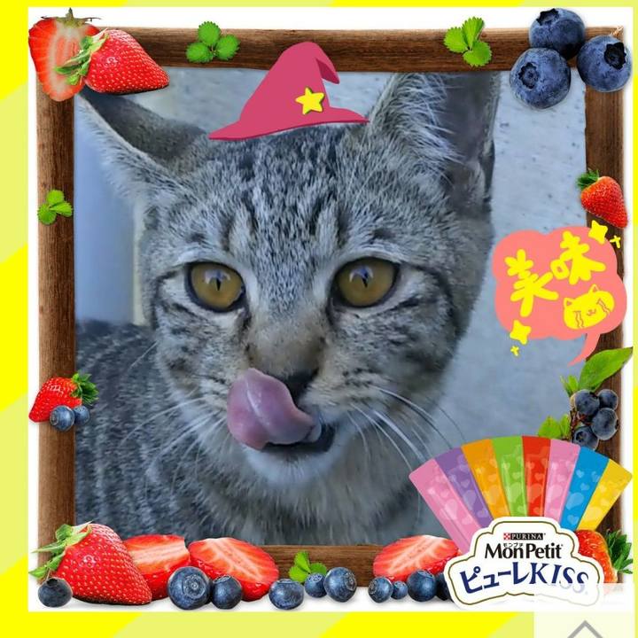 639eee7a 71de 43ea 8aad 83c03f80ff00