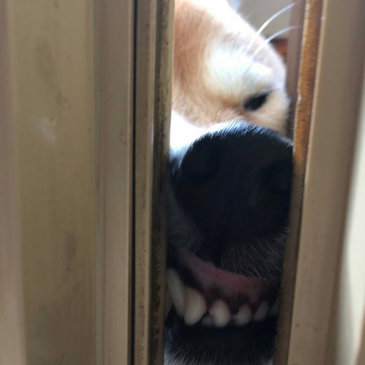 639fe8b0 4e4b 4acb a429 0a95bc647cab