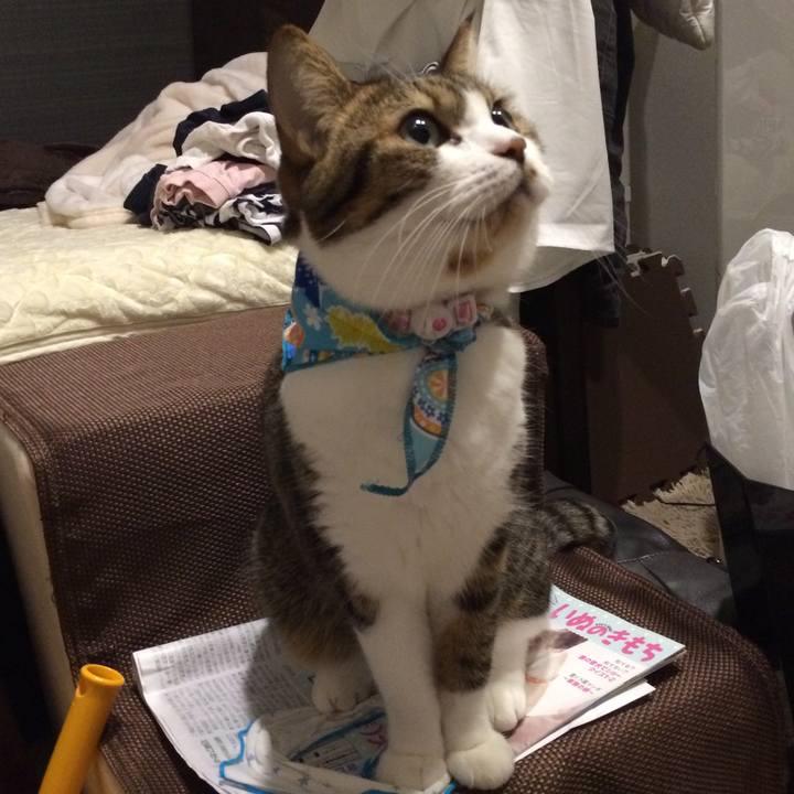 639ffca2 1557 413c 89df b6656d0231c7