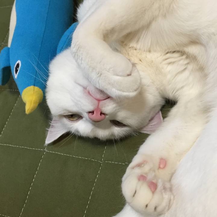 63a01e07 702b 4c03 8b23 606c14c88afa