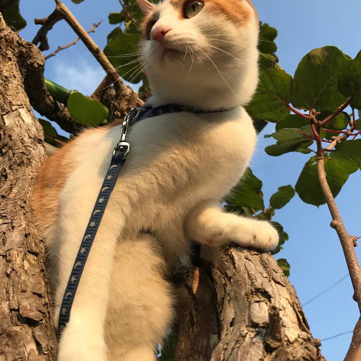 63a0bd04 6b6a 40d6 aef4 a9e236d64be1