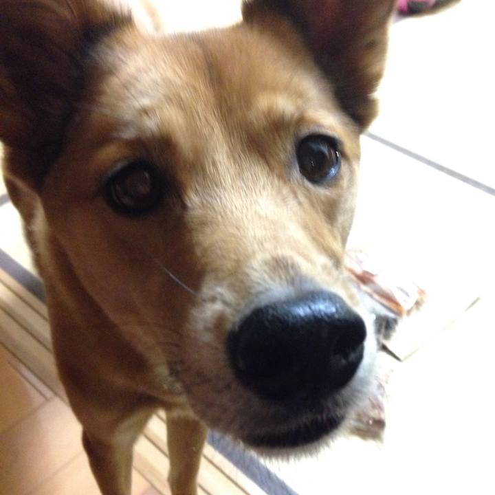 63a135b4 8e62 48df ba38 2ae5fd00f24d