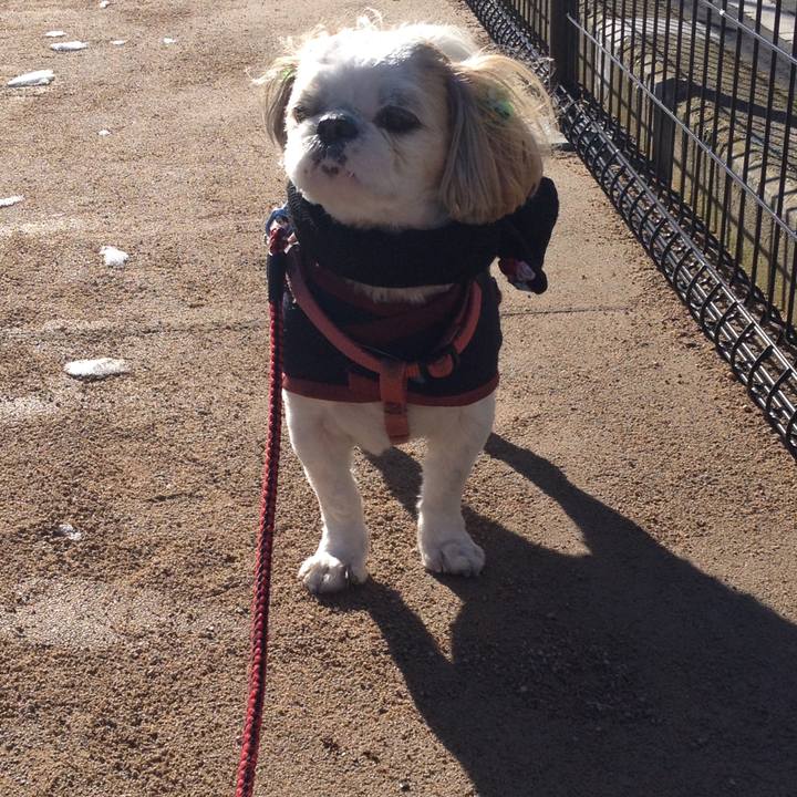 63a144b0 a039 4328 b2ed 6f236ba4cf10