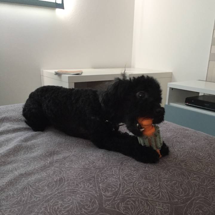 63a1c45e 28c3 4ff5 88d1 44e4f09828d1