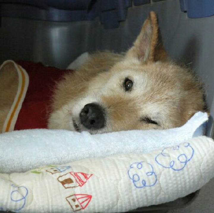 63a2396c bf38 4be9 b49e 3ccc2ed73b68