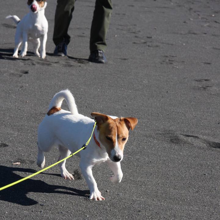 63a24c97 4810 466e 82ea 96fa137671ef