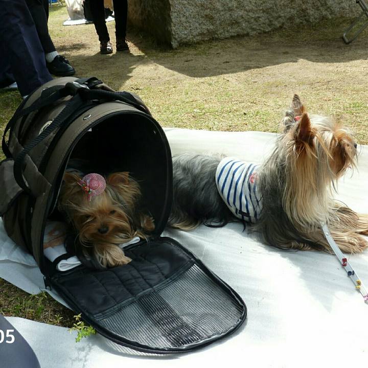 63a33175 cc38 4f9e 91b2 8e2167906819