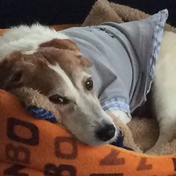 63a35901 2051 4b6f 9731 83da5272d44d