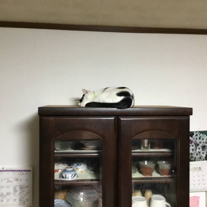 63a434e8 5f3a 4675 97e6 910a6b35d170