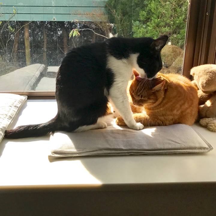 63a47512 1658 4dbc a19d 0c5a26e3c938