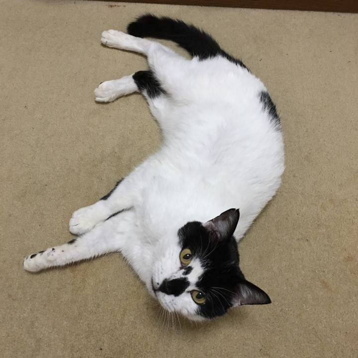 63a5403f 72ae 48ef 971c f6305429064a