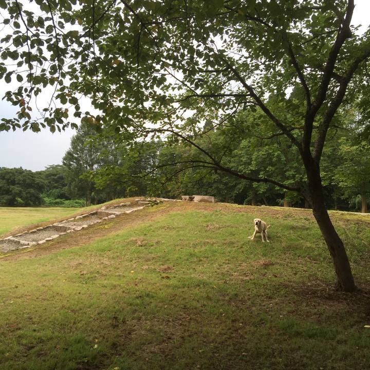 63a58868 be03 4217 8817 03d8f93a5c22