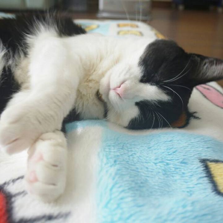 63a5d409 3d15 466a 9a5e 46ddf82bde4d