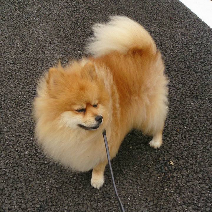 63a63f80 44a8 44c0 86ad 1fb6e0af6d6f