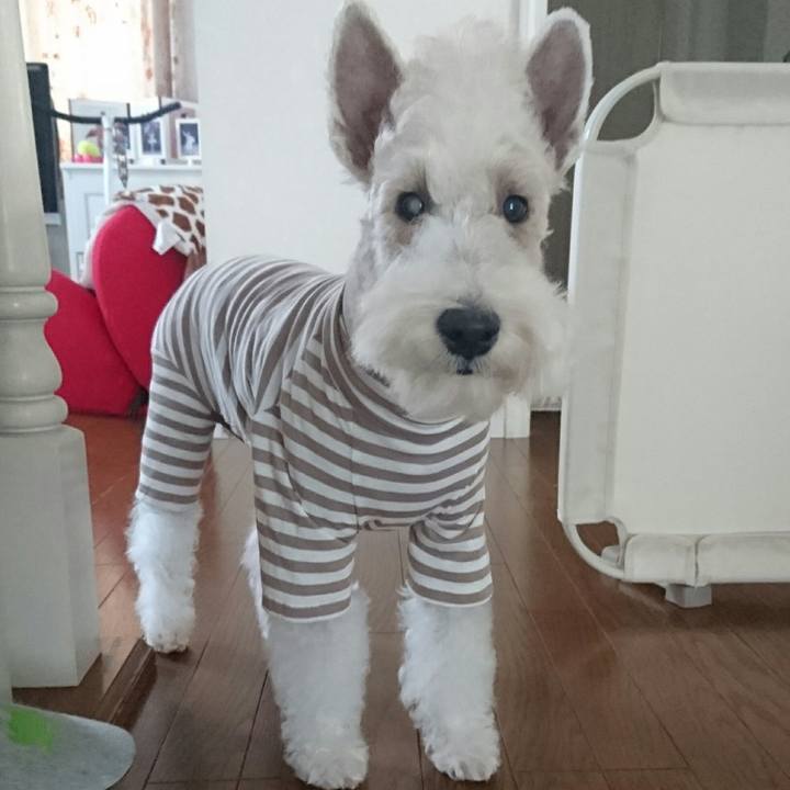 63a67aaa 5a16 4095 8f5b 00cdab7a1f42