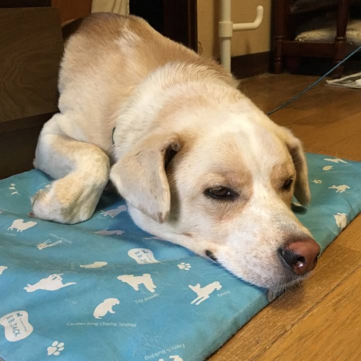 63a6995e 08df 417f ac14 e221e1ad950f