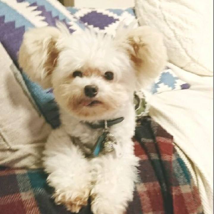 63a6ca4a e5f9 4309 8289 2aa2a05ae370