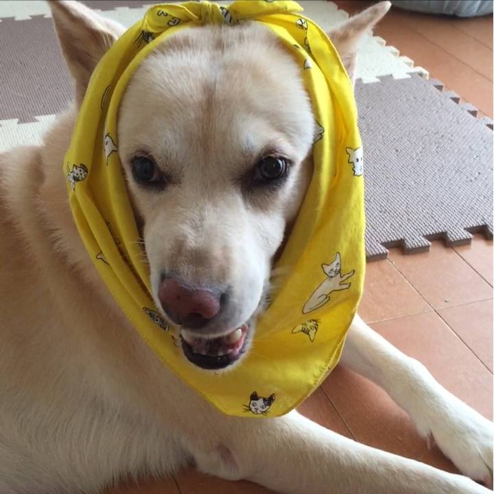 63a7303f 15c1 4021 a2df bdcae488f8cc