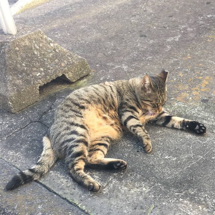 63a7dd7f 2ee8 4726 b017 b98a032933da