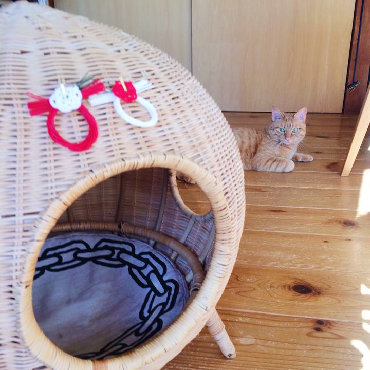 63a8228a 644a 4e51 b473 15ae5c9f8a0b