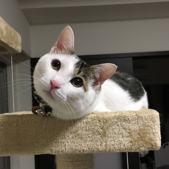 63a8c210 f4a8 4fbd 8609 03ba1e873a81