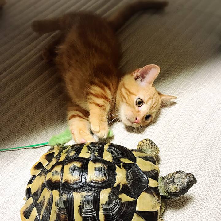 63a8e141 b3ca 4664 93de 5d7fbba17258