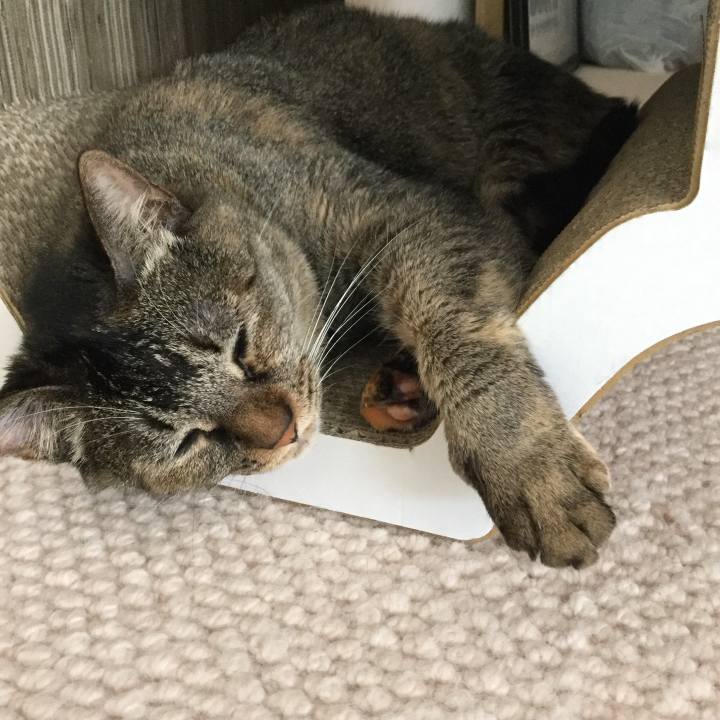 63a91c83 0e3e 4d9d ad99 7e9863fcb049