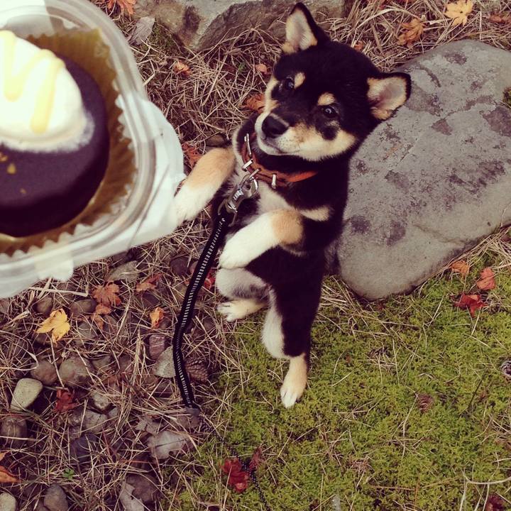 63a93b63 d634 4c19 a1f6 7a7ac93907c6